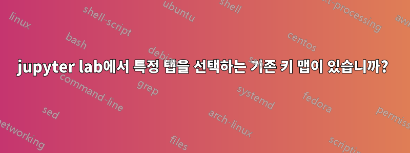 jupyter lab에서 특정 탭을 선택하는 기존 키 맵이 있습니까?