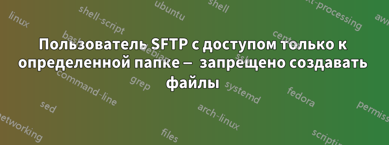 Пользователь SFTP с доступом только к определенной папке — запрещено создавать файлы