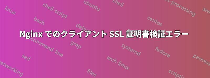 Nginx でのクライアント SSL 証明書検証エラー