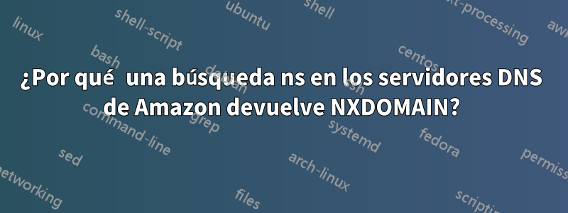 ¿Por qué una búsqueda ns en los servidores DNS de Amazon devuelve NXDOMAIN?