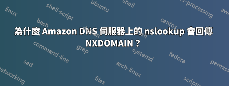 為什麼 Amazon DNS 伺服器上的 nslookup 會回傳 NXDOMAIN？