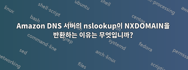 Amazon DNS 서버의 nslookup이 NXDOMAIN을 반환하는 이유는 무엇입니까?