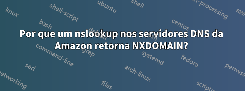 Por que um nslookup nos servidores DNS da Amazon retorna NXDOMAIN?