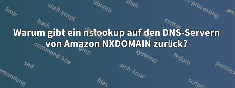 Warum gibt ein nslookup auf den DNS-Servern von Amazon NXDOMAIN zurück?