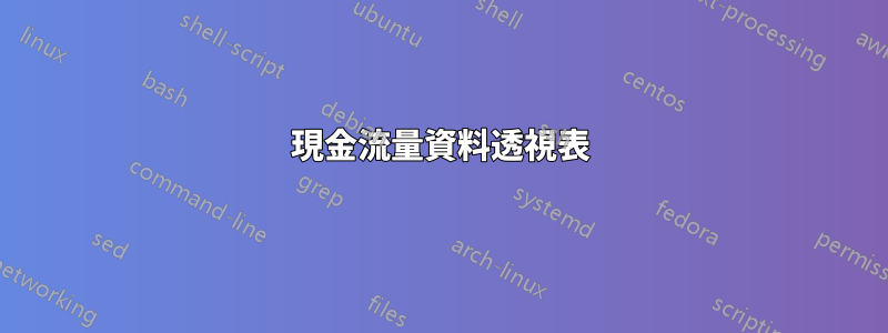 現金流量資料透視表