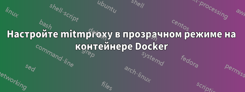 Настройте mitmproxy в прозрачном режиме на контейнере Docker