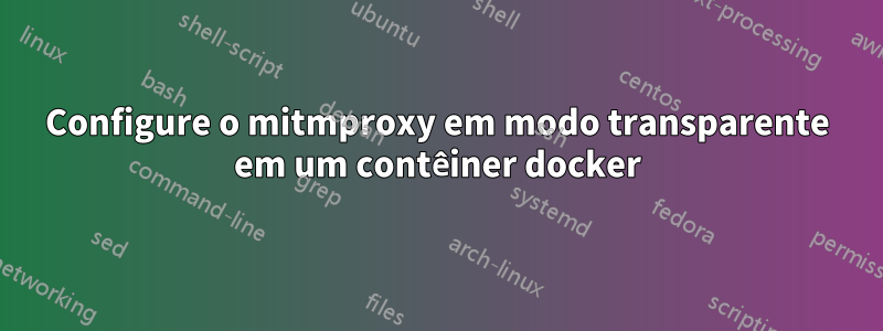 Configure o mitmproxy em modo transparente em um contêiner docker