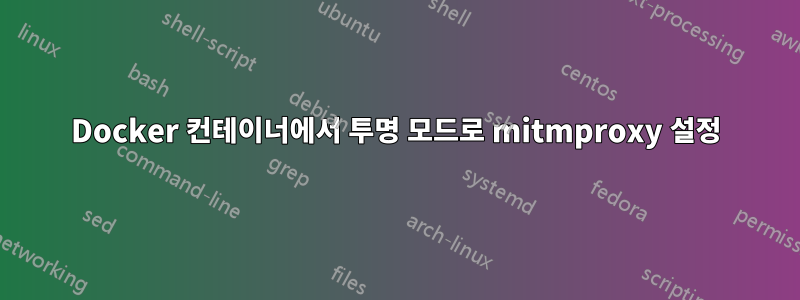 Docker 컨테이너에서 투명 모드로 mitmproxy 설정