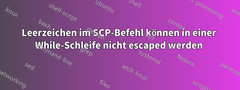 Leerzeichen im SCP-Befehl können in einer While-Schleife nicht escaped werden