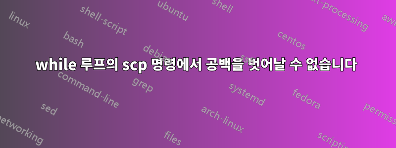 while 루프의 scp 명령에서 공백을 벗어날 수 없습니다