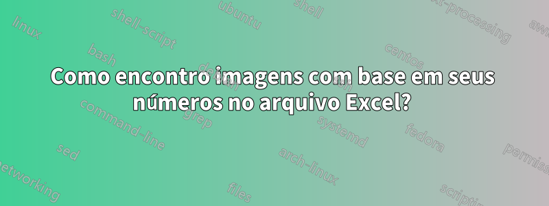 Como encontro imagens com base em seus números no arquivo Excel?