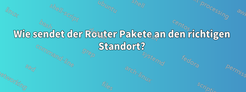 Wie sendet der Router Pakete an den richtigen Standort?