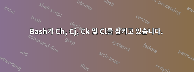 Bash가 Ch, Cj, Ck 및 Cl을 삼키고 있습니다.