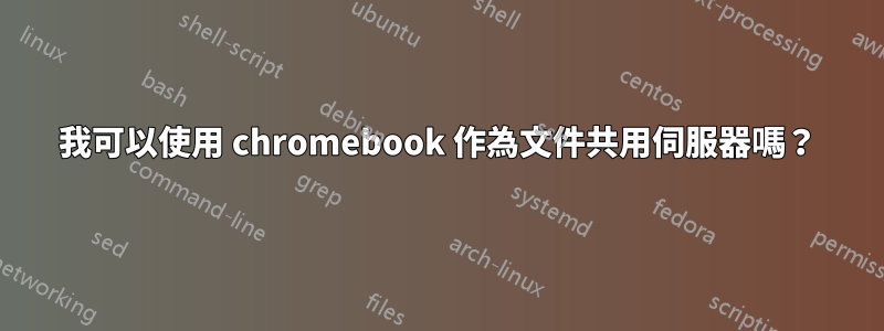 我可以使用 chromebook 作為文件共用伺服器嗎？