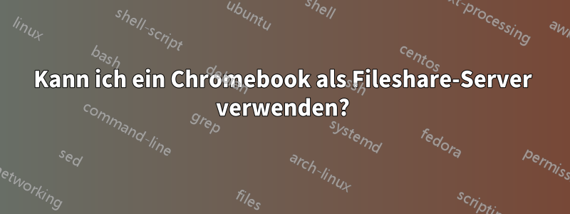 Kann ich ein Chromebook als Fileshare-Server verwenden?