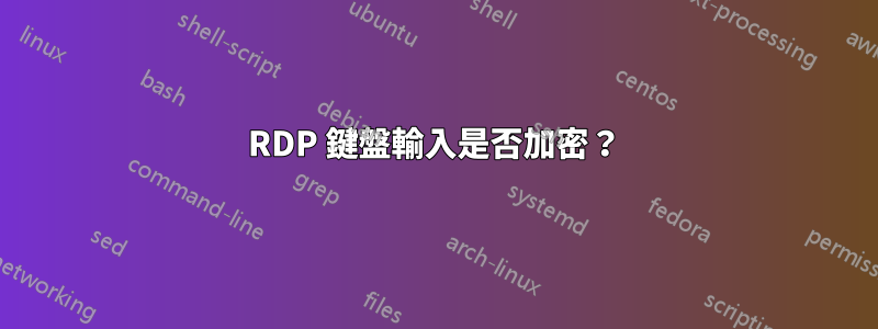 RDP 鍵盤輸入是否加密？