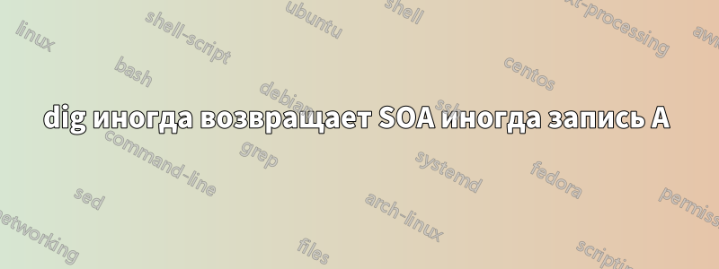 dig иногда возвращает SOA иногда запись A