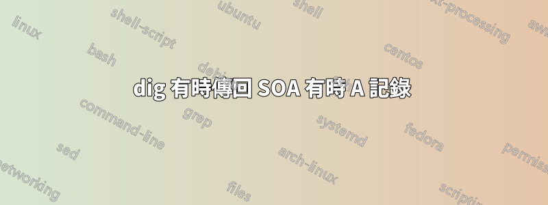 dig 有時傳回 SOA 有時 A 記錄