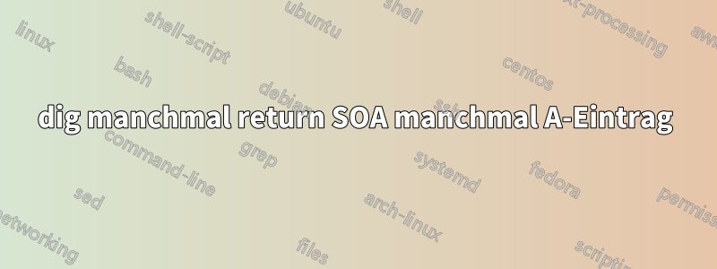 dig manchmal return SOA manchmal A-Eintrag