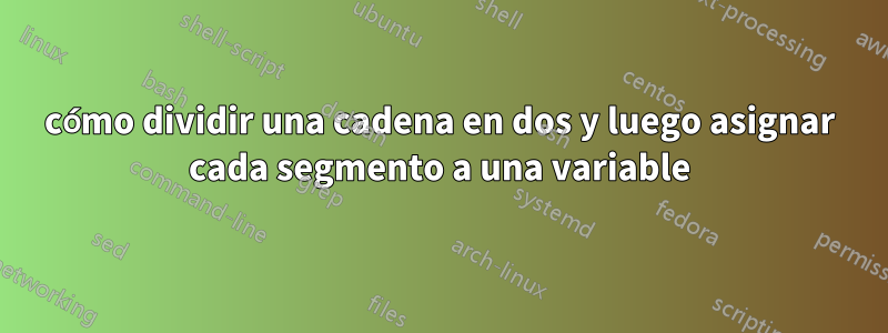 cómo dividir una cadena en dos y luego asignar cada segmento a una variable