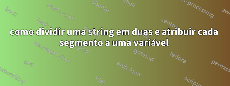 como dividir uma string em duas e atribuir cada segmento a uma variável