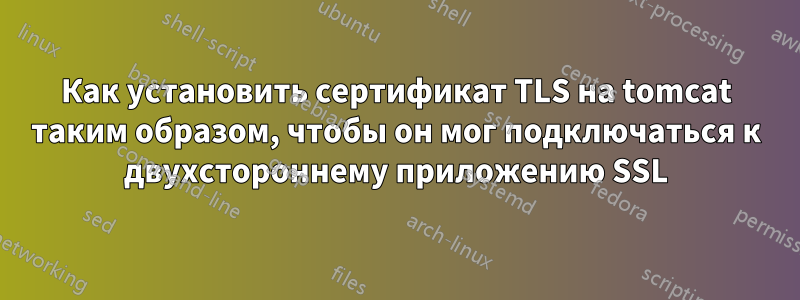 Как установить сертификат TLS на tomcat таким образом, чтобы он мог подключаться к двухстороннему приложению SSL