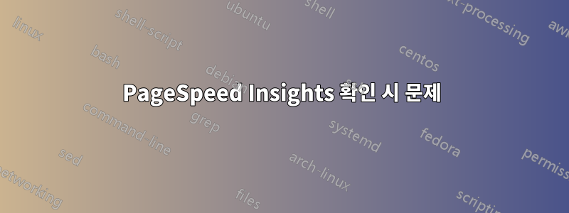 PageSpeed ​​Insights 확인 시 문제