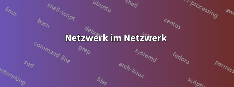 Netzwerk im Netzwerk