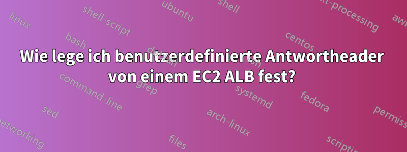 Wie lege ich benutzerdefinierte Antwortheader von einem EC2 ALB fest?