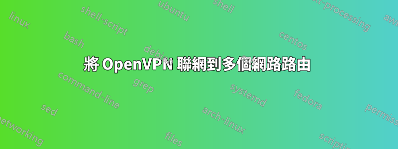 將 OpenVPN 聯網到多個網路路由