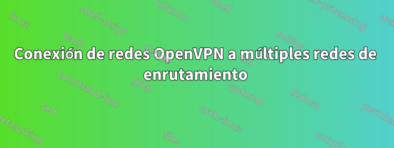 Conexión de redes OpenVPN a múltiples redes de enrutamiento