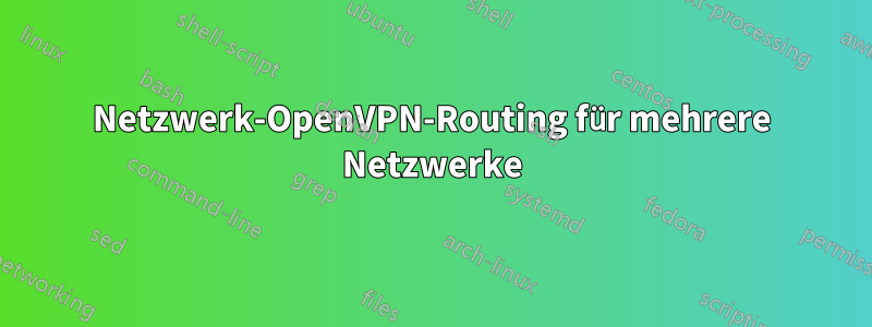 Netzwerk-OpenVPN-Routing für mehrere Netzwerke