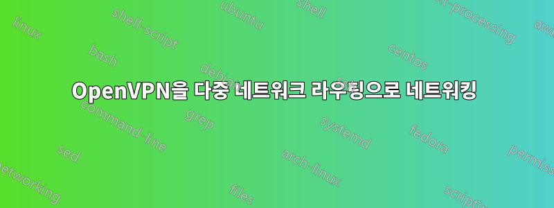 OpenVPN을 다중 네트워크 라우팅으로 네트워킹