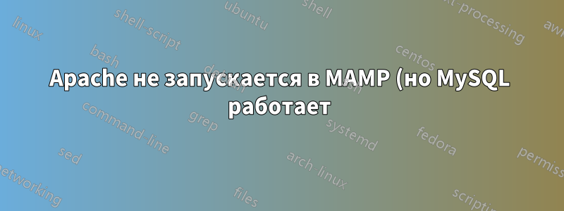Apache не запускается в MAMP (но MySQL работает) в Windows 10