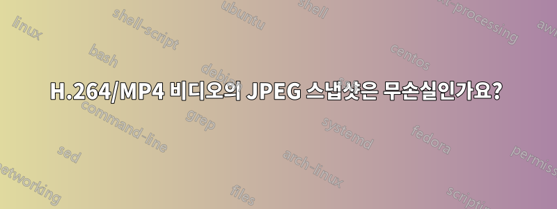 H.264/MP4 비디오의 JPEG 스냅샷은 무손실인가요?