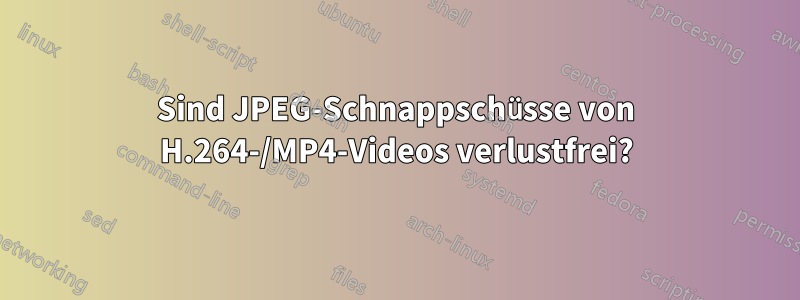 Sind JPEG-Schnappschüsse von H.264-/MP4-Videos verlustfrei?