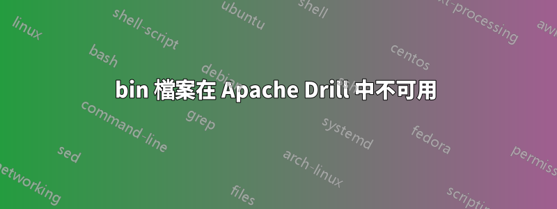 bin 檔案在 Apache Drill 中不可用