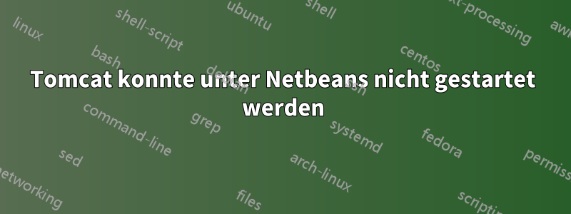 Tomcat konnte unter Netbeans nicht gestartet werden