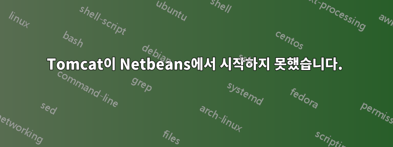 Tomcat이 Netbeans에서 시작하지 못했습니다.