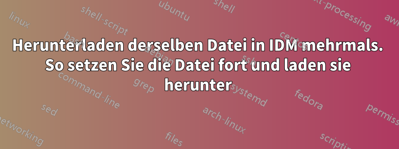 Herunterladen derselben Datei in IDM mehrmals. So setzen Sie die Datei fort und laden sie herunter