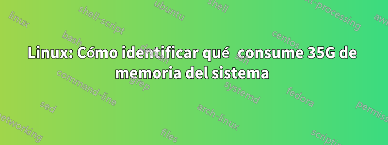 Linux: Cómo identificar qué consume 35G de memoria del sistema