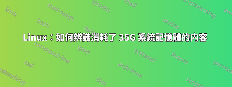 Linux：如何辨識消耗了 35G 系統記憶體的內容