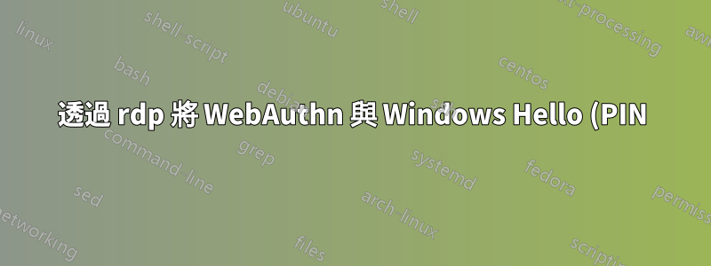 透過 rdp 將 WebAuthn 與 Windows Hello (PIN) 結合使用不起作用