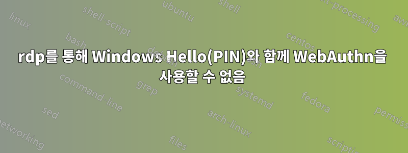 rdp를 통해 Windows Hello(PIN)와 함께 WebAuthn을 사용할 수 없음