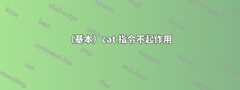 （基本）cat 指令不起作用