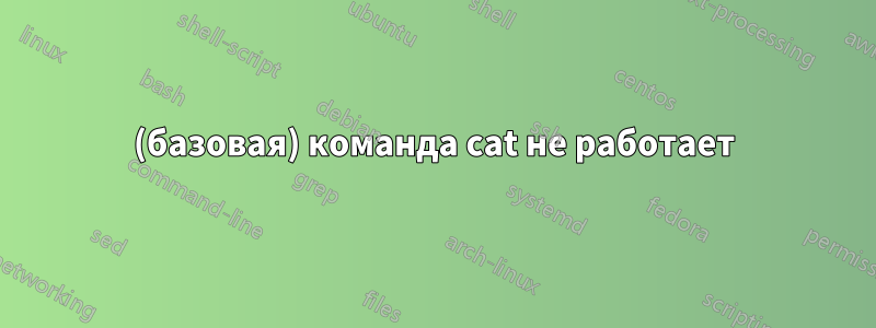 (базовая) команда cat не работает