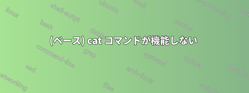 (ベース) cat コマンドが機能しない