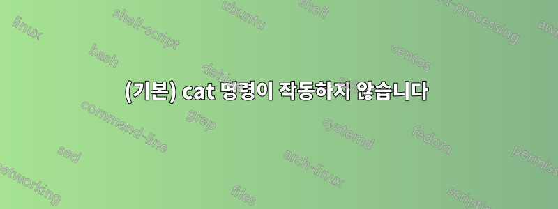 (기본) cat 명령이 작동하지 않습니다