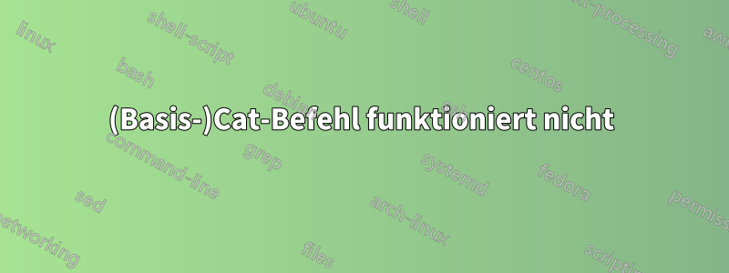 (Basis-)Cat-Befehl funktioniert nicht