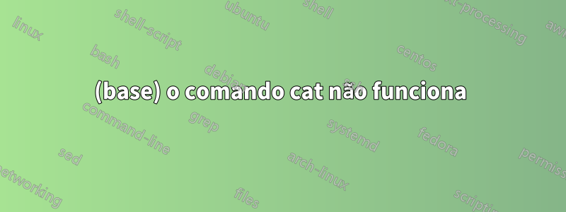 (base) o comando cat não funciona